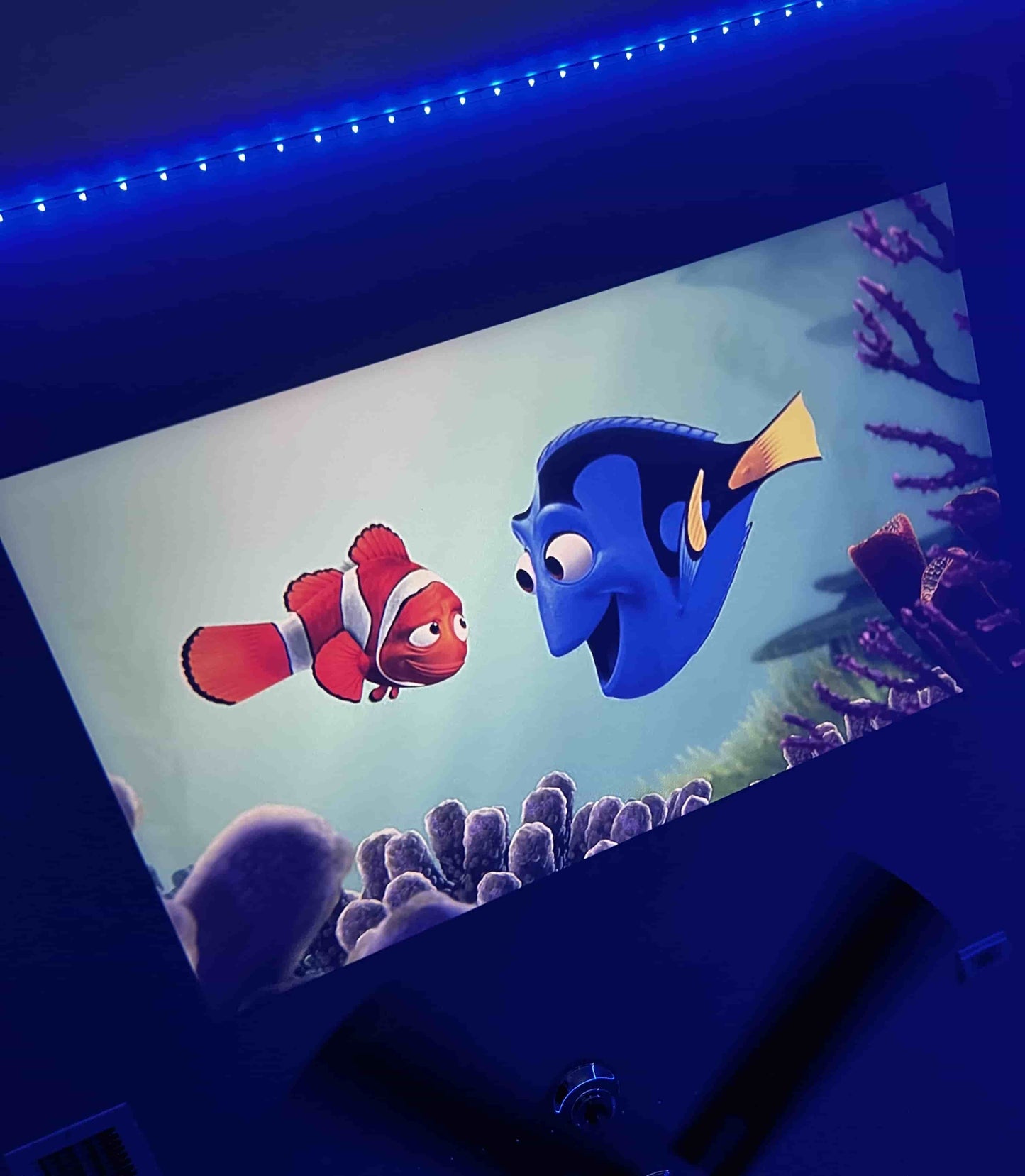 UsualHub MiniProjector™️