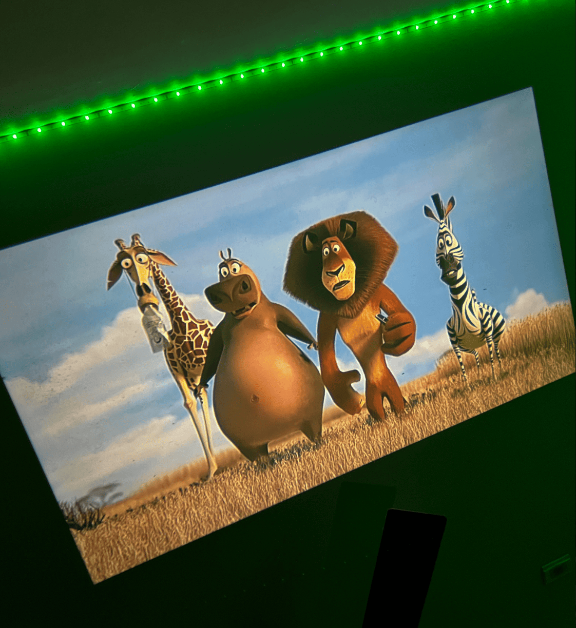 UsualHub MiniProjector™️